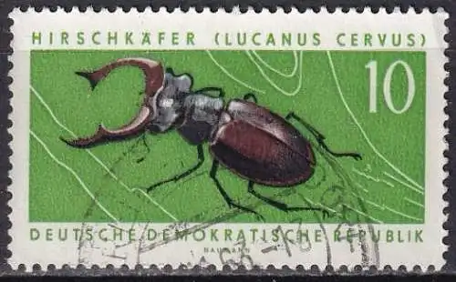 DDR  Nr 978 Q