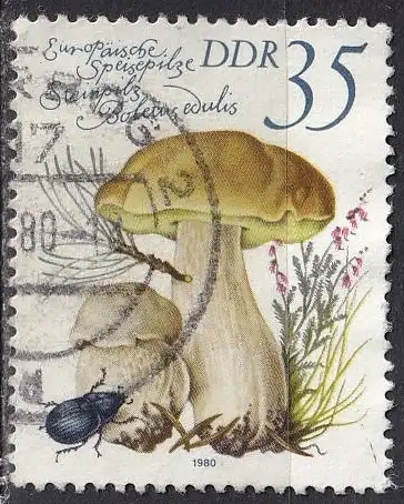 DDR  Nr 2555 Q