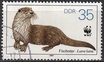 DDR  Nr 3109 Q