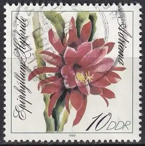 DDR  Nr 3276 Q