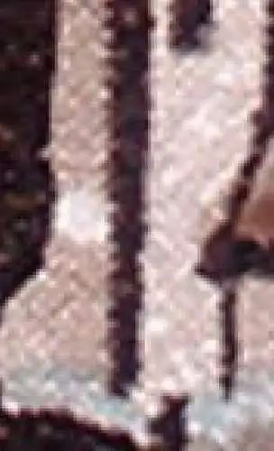 DDR 3315 f23 Schantl postfrisch ** Plattenfehler Abart (6087B)