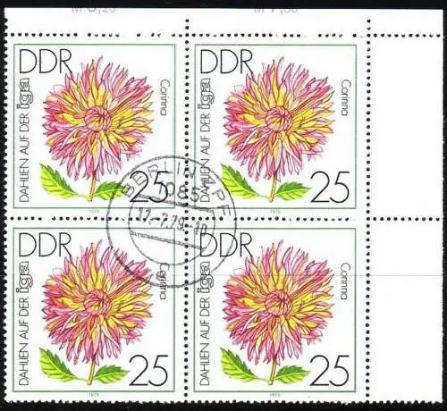 DDR 2437 f5 Blütenlinie gebrochen gestempelt BST Plattenfehler Abart (4217C)