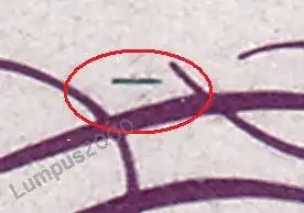 DDR 3032 blauer Strich im Zierfeld gestempelt SST (4686A)