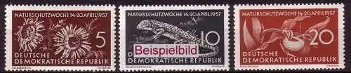 DDR 561-563 Briefmarken postfrisch ** (BA1-2b)