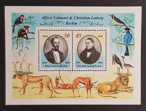 DDR 3256 3257 Block 98 gestempelt Bedarf (1734)