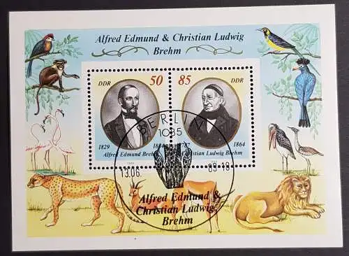 DDR 3256 3257 Block 98 gestempelt SST (1735)