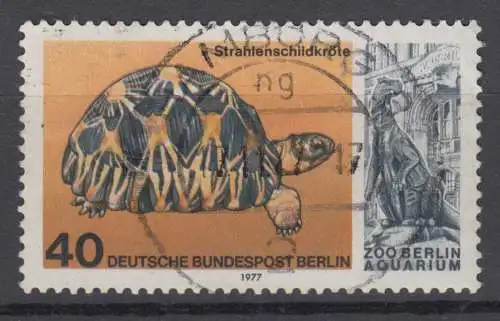 Berlin 554 gestempelt (6671B)