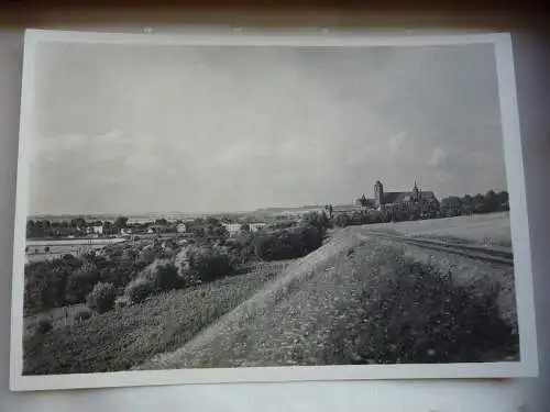 [Echtfotokarte schwarz/weiß] Marienwerder Ordensschloß und Dom, Schloß des deutschen Ritterordens, 1233 begonnen, Domkirche des Bistums Pomesanien seit 1285, Von Süden,
Deutscher Kunstverlag Berlin  w 35. 