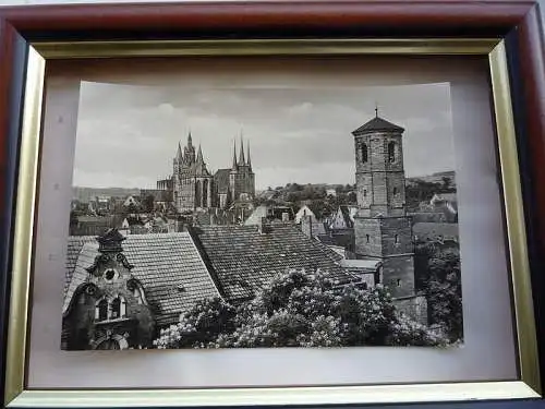 [Echtfotokarte schwarz/weiß] Erfurt Thüringen, Blick zum Dom, Gebr. Garloff KG, Magdeburg. 