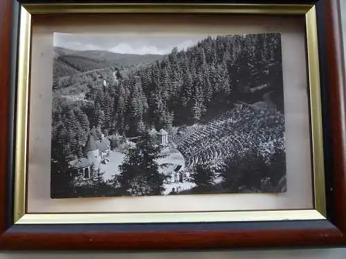 [Echtfotokarte schwarz/weiß] Das Meininger Theater, Naturtheater Deutsch-Sowjetische Freundschaft, Steinbach-Langenbach, Thüringen, Kunstanstalt Straub und Fischer, Meiningen. 