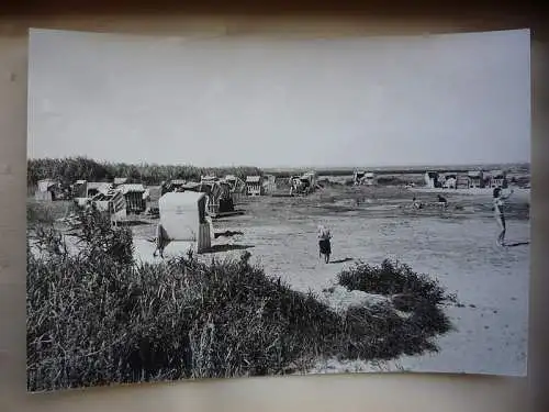 [Echtfotokarte schwarz/weiß] Grambin, Strand, Strandkorb, Mecklenburg Vorpommern, DDR, Planet Verlag, Berlin. 