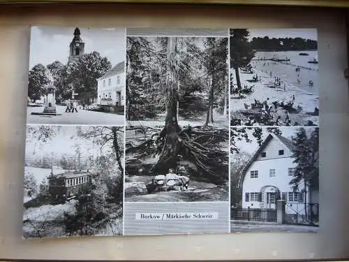 [Echtfotokarte schwarz/weiß] Buckow / Märkische Schweiz (Kr. Strausberg), Markt- Wurzelfichte, Strandbad am Schermützelsee, Brecht Eigel Haus, Waldbahn. 