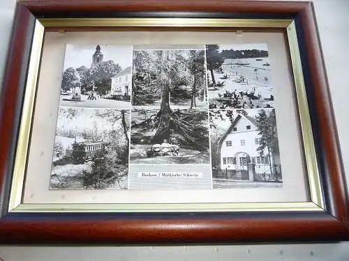 [Echtfotokarte schwarz/weiß] Buckow / Märkische Schweiz (Kr. Strausberg), Markt- Wurzelfichte, Strandbad am Schermützelsee, Brecht Eigel Haus, Waldbahn. 