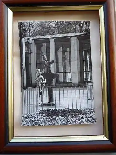 [Echtfotokarte schwarz/weiß] Staatsbad Bad Elster, Elsterbrunnen an der Moritzquelle. 