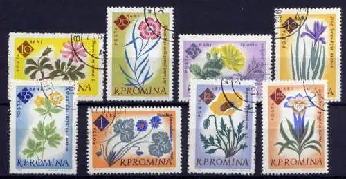 Rumänien ex.Nr.2020/8               O  used                 (1099)