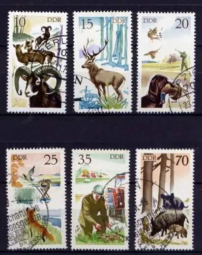 (26255) DDR Nr.2270/5                                O  gestempelt