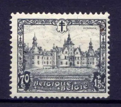 Belgien Nr.294          *  unused           (1752)