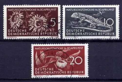 (25634) DDR Nr.561/3                      O  gestempelt