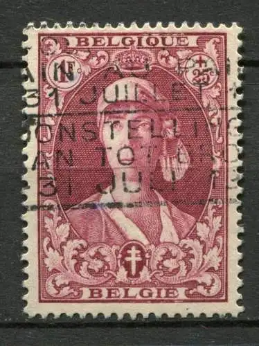 Belgien Nr.319         O  used         (1359)