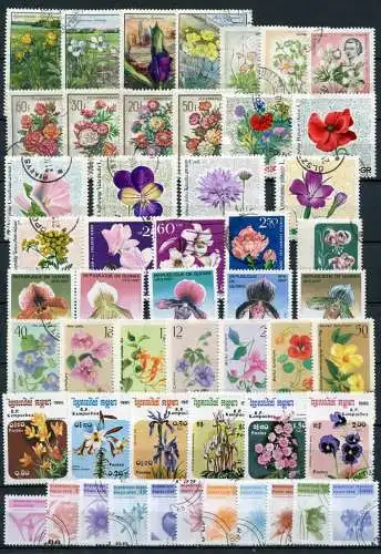 Motiv - Lot / Sammlung Blumen     (086)  flowers
