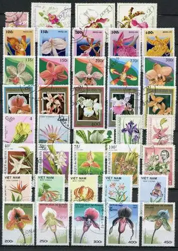 (085) Motiv - Lot / Sammlung Orchideen   /  orchids