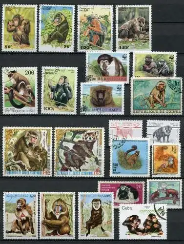 Motiv - Lot / Sammlung Affen     (080)  monkeys