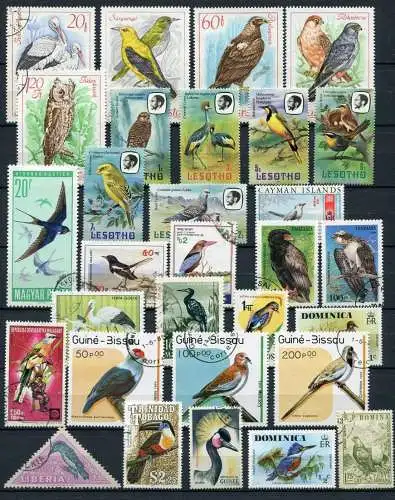 Motiv - Lot / Sammlung Vögel      (077)  birds