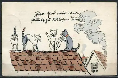 (04674) Katzen auf dem Dach "Hier sind wir nur gemalt zu löbligem Tun!" - gel. 1907