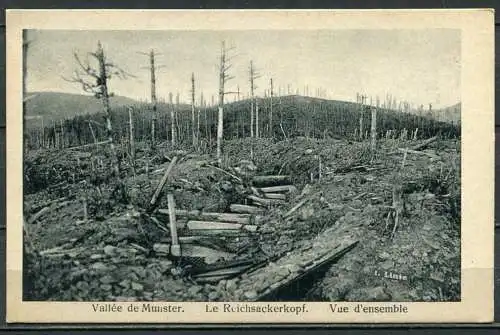 (04638) Vallée de Munster. Le Reichsackerkopf. Vue d'ensemble / Tal von Münster. - I WK 1914-1918 - n. gel.