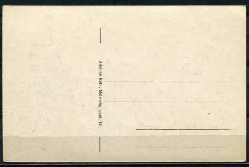 (4638) Vallée de Munster. Le Reichsackerkopf. Vue d'ensemble / Tal von Münster. - I WK 1914-1918 - n. gel.