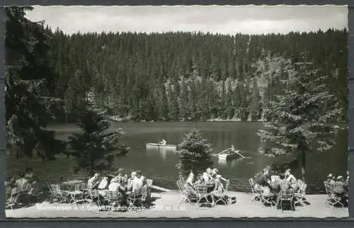 (04518) Mummelsee a. d. Schwarzwaldhochstr. 1036 m ü. M. - gel. 1980 - r646 Agfa