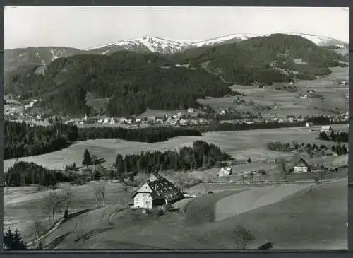 (04494) Hinterzarten / Hochschwarzwald, 900 - 1400 m ü. M. - gel. 1969 - Echte Photographie BTe