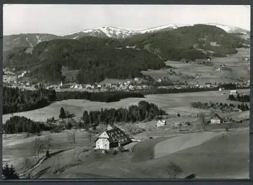 (4494) Hinterzarten / Hochschwarzwald, 900 - 1400 m ü. M. - gel. 1969 - Echte Photographie BTe