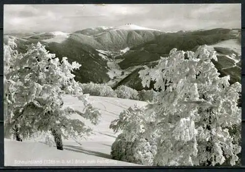 (4492) Schauinsland (1286 m ü. M.) Blick zum Feldberg - gel. 1976