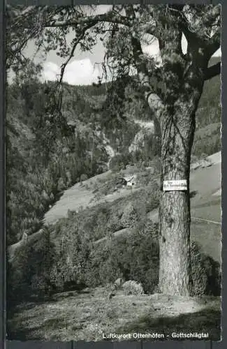 (4483) Luftkurort Ottenhöfen - Gottschlägtal - gel. 1973