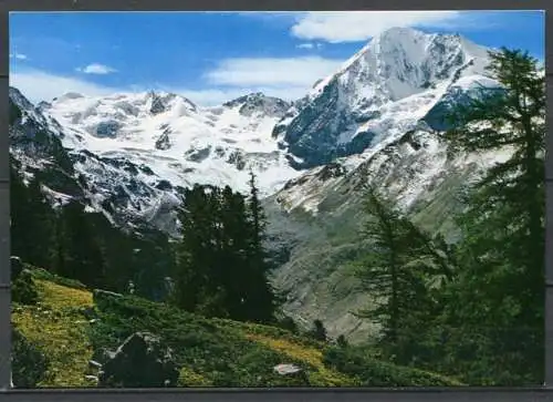 (4433) Sulden (1900 m) am Ortler - Motiv mit Suldengletscher und König Spitze (3860 m) - n. gel.