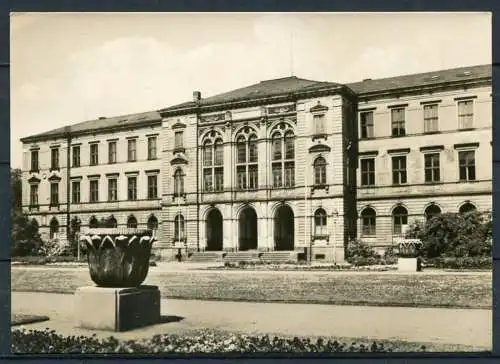 (4084) Zwickau - Gerhart-Hauptmann-Oberschule - Echt Foto s/w - n. gel. - VEB Bild und Heimat Reichenbach i. V.