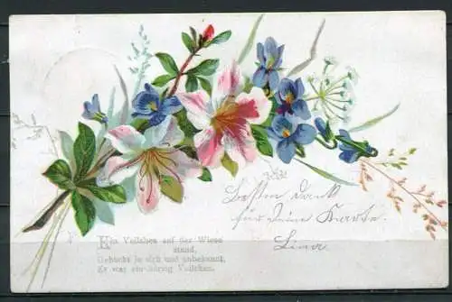 (4011) Grußkarte mit Veilchen-Spruch - gel. 09.04.1906 - Stempel: Neugersdorf / Lawalde - Postkarte Weltpostverein