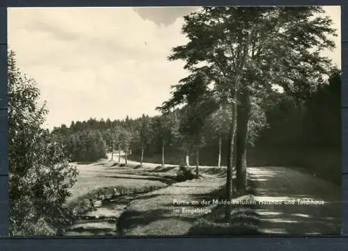 (3888) Partie an der Mulde zwischen Holzhau und Teichhaus im Erzgeb. - s/w - n. gel. - DDR