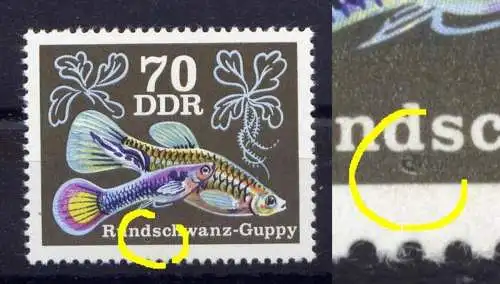 (22291 DDR Nr.2181       **  postfrisch    /  Putze unter d von Rundschwanz