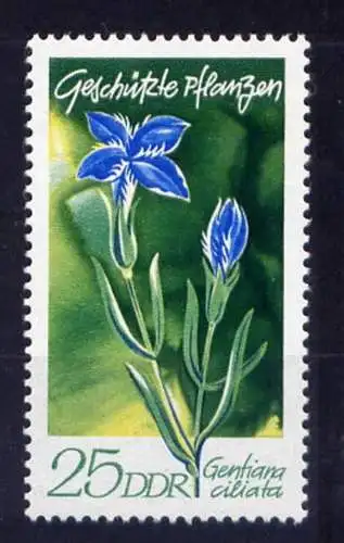 (13437) DDR Nr.1565        **  postfrisch