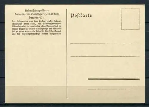 (3592) Aus dem Hammerherrenhaus Schmalzgrube (Stuckdecke) - Heimatschutzpostkarte - s/w - n. gel.