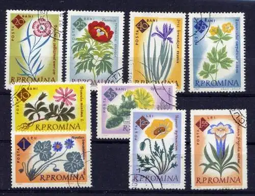 Romania Nr.2020/8 A        O  used       (491)