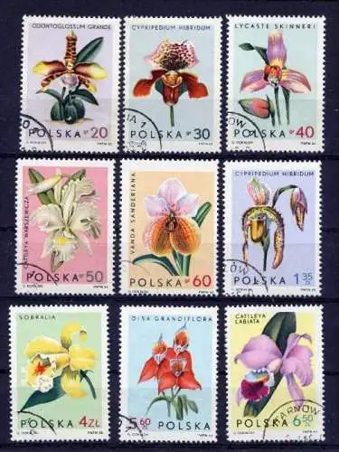 Polen Nr.1612/20                    O  used               (968) Orchideen