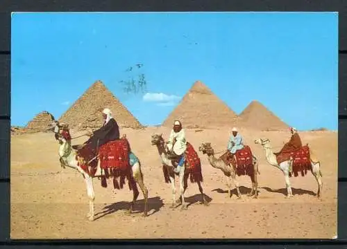 (03275) Gizeh / Karawane vor Pyramiden - gel.