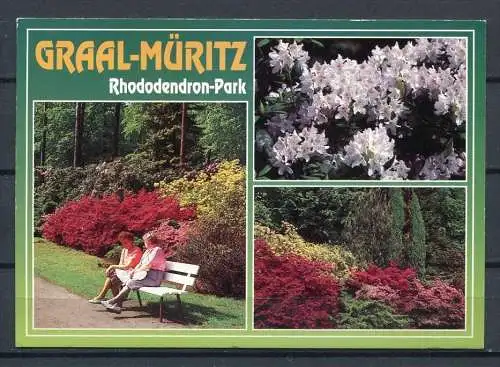 (03227) Graal-Müritz - Rhododendron-Park / Mehrbildkarte - gel.