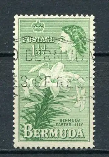 Bermuda Nr.132         O  used        (007)