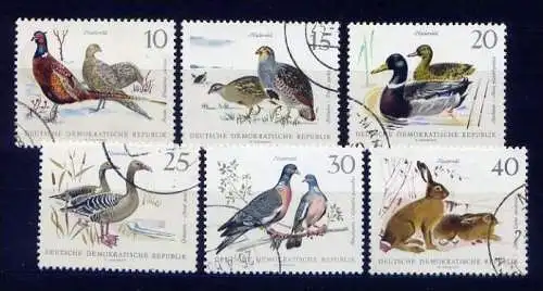 (16674) DDR Nr.1357/62         O  gestempelt