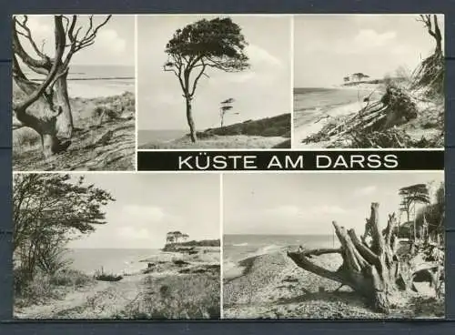 (03018) Küste am Darß / Mehrbildkarte s/w - gel. 1978 - Bild und Heimat