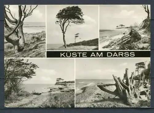 (3018) Küste am Darß / Mehrbildkarte s/w - gel. 1978 - Bild und Heimat